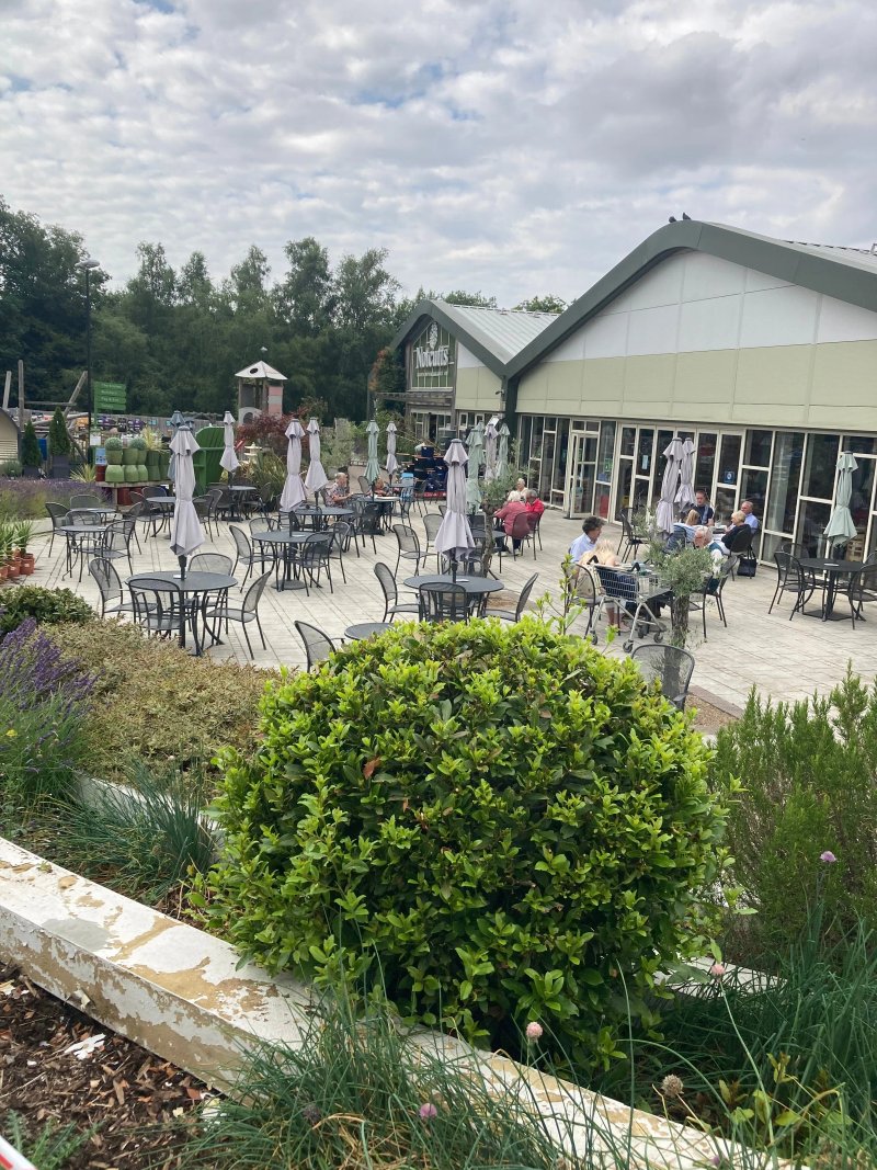 Notcutts Restaurant - Tunbridge Wells