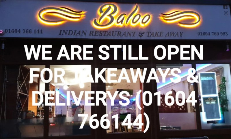Baloo Northampton