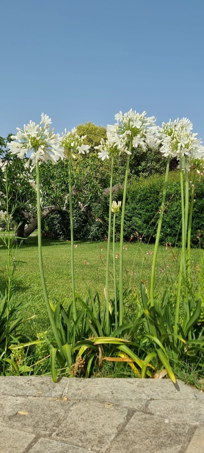 Willaria Country House