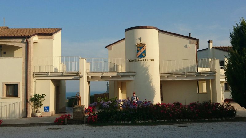 Contea dei Ciliegi