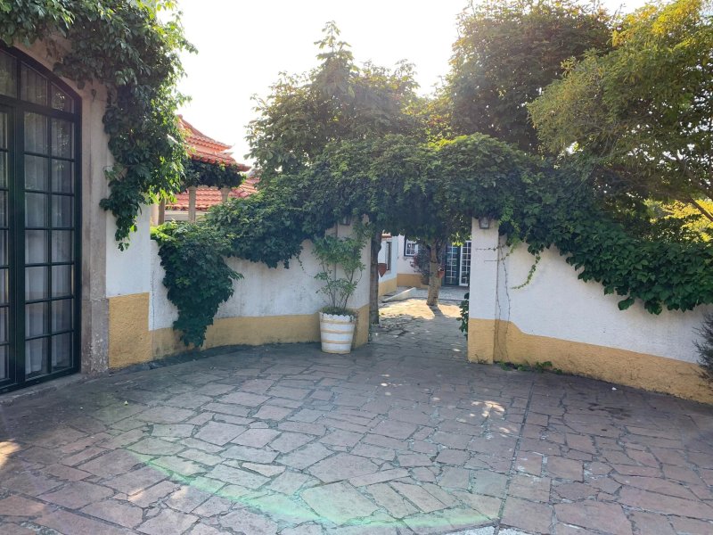 Villa das Rosas