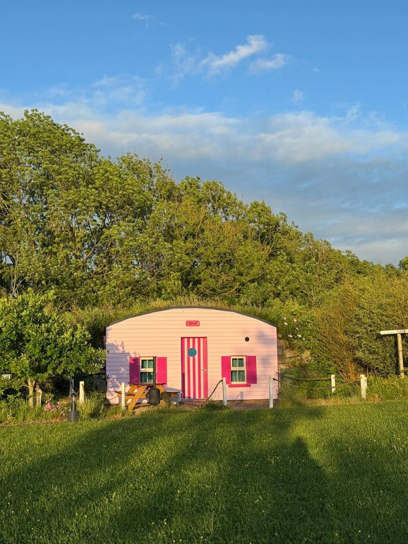 Glamping Under The Stars