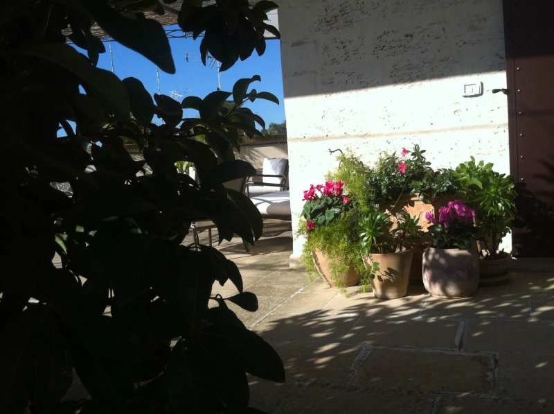 Roof Barocco Suite B&B