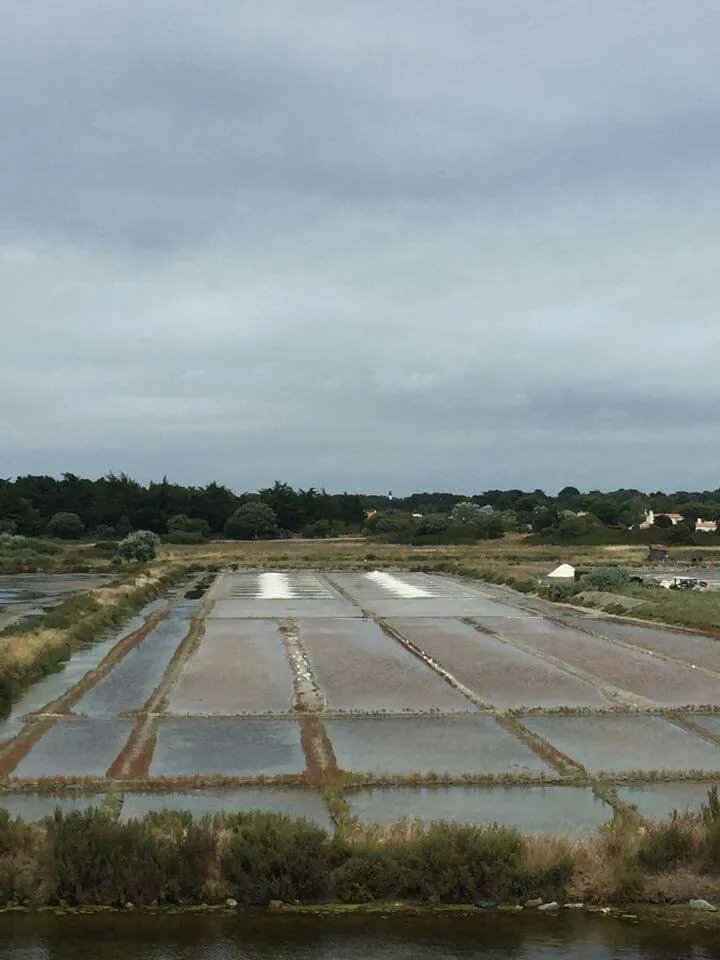 Marais du Mullembourg