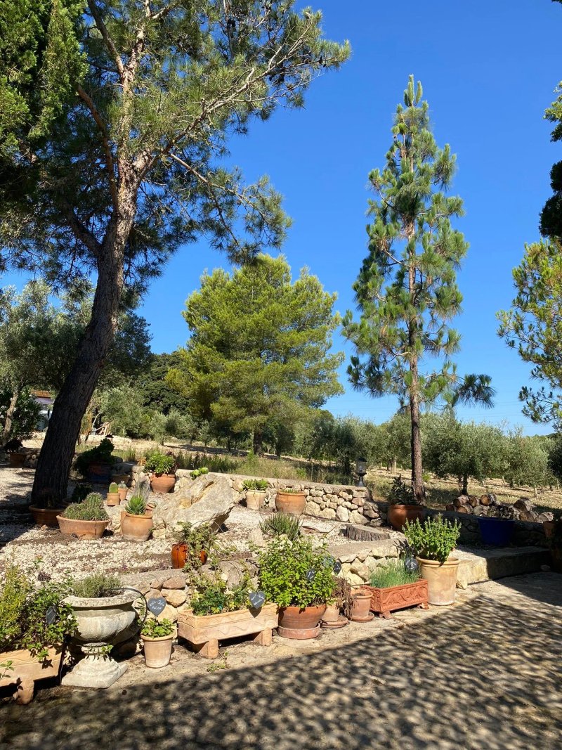 Finca Son Jorbo