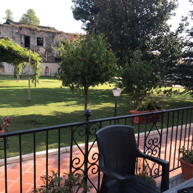 CASA ALBERO Cucina & Braceria