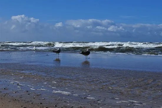 Darlowko Beach