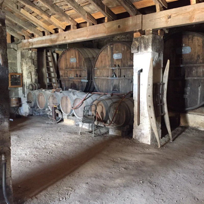 Château Nodot