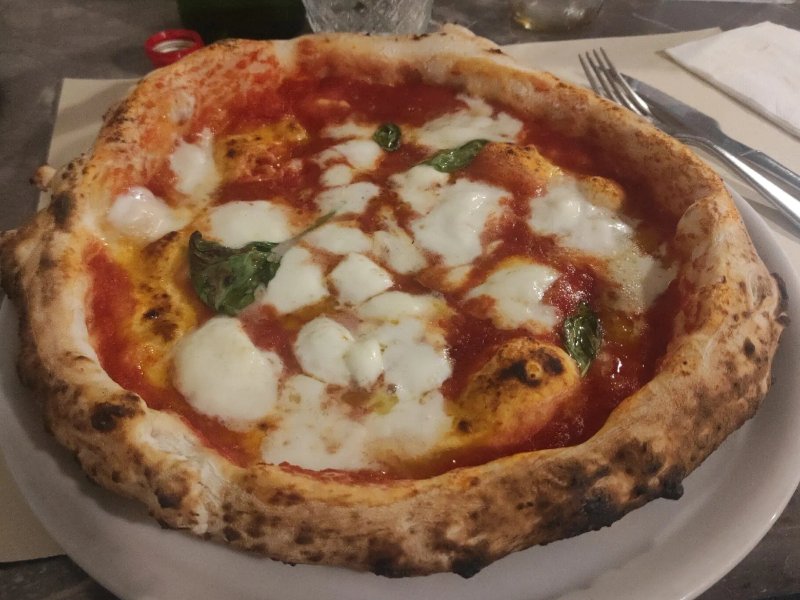 Magnammecena 'Pizza
