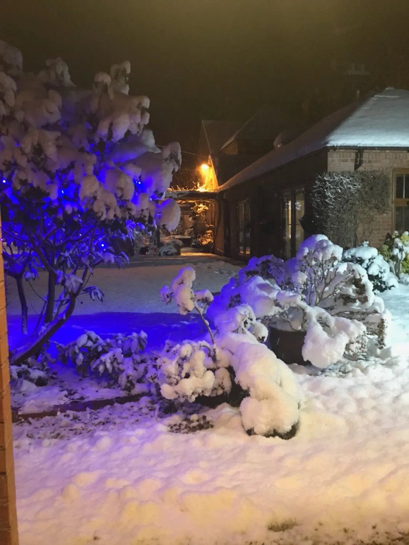 The Laurels Bed and Breakfast