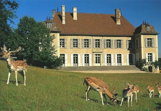 Chateau de Moidiere