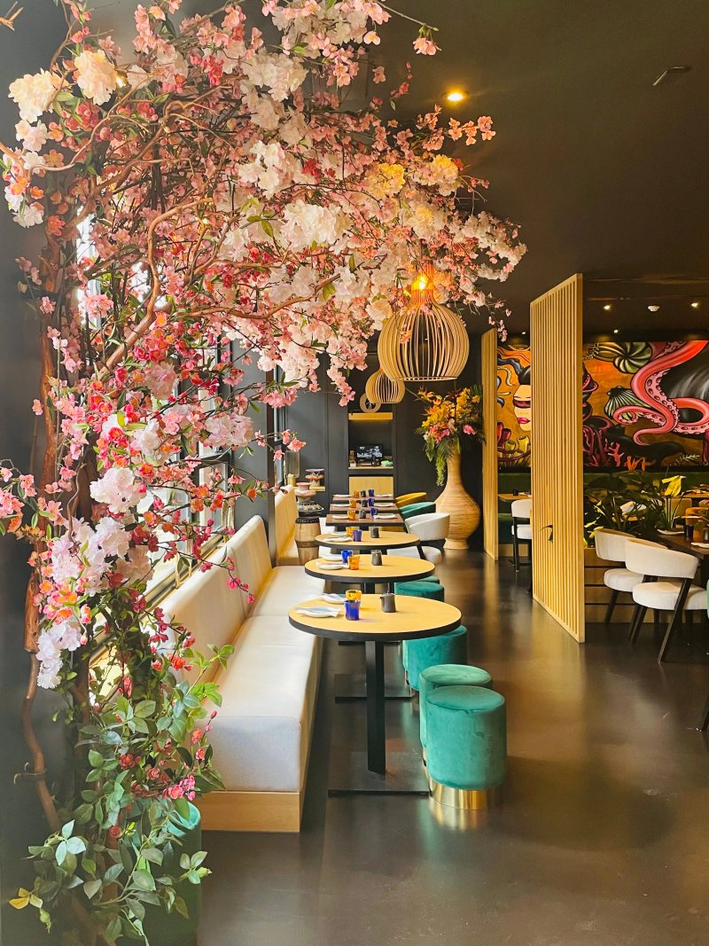 Nakanojo Marylebone