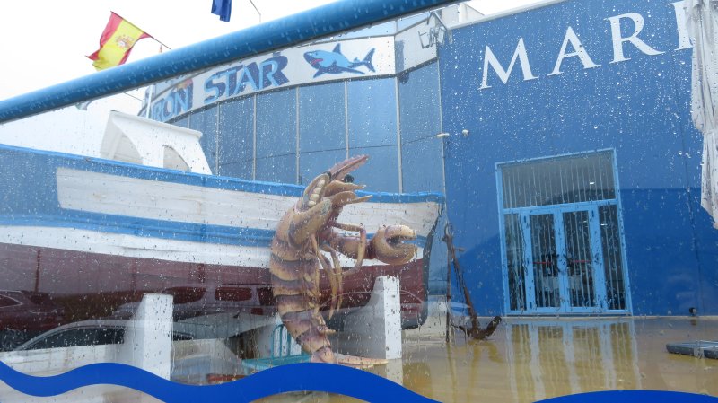 Marisqueria Rodu El Tiburon