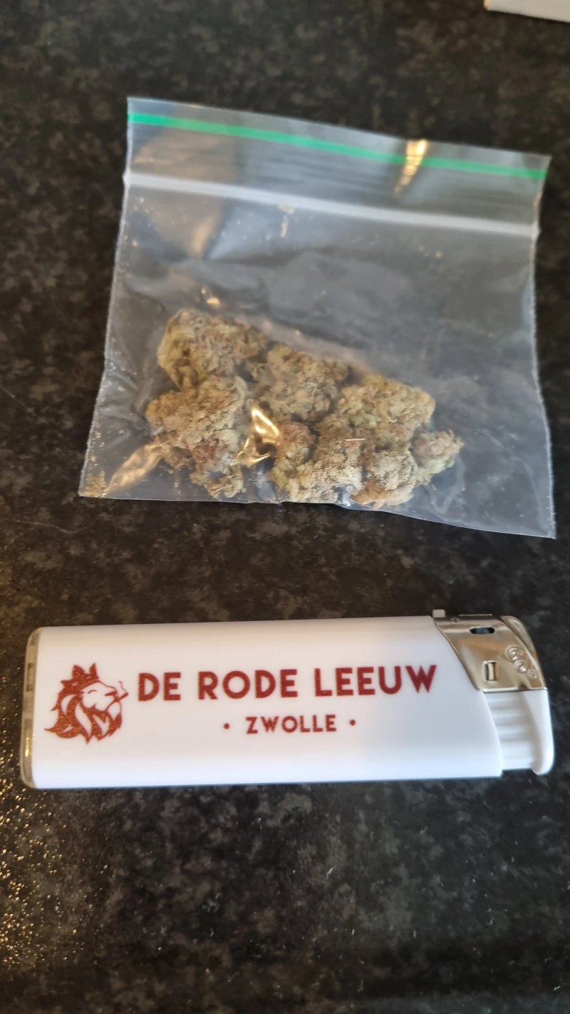 De Rode Leeuw