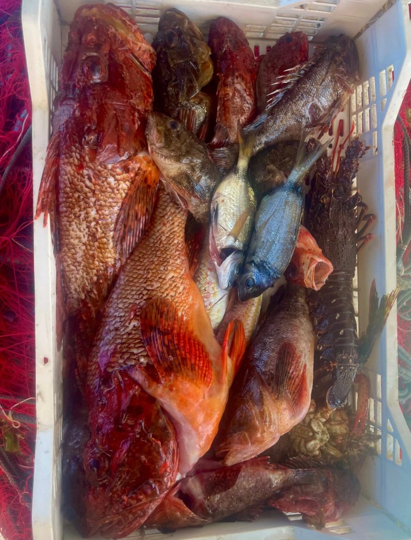 PescaTurismo with Domenico & Salvatore