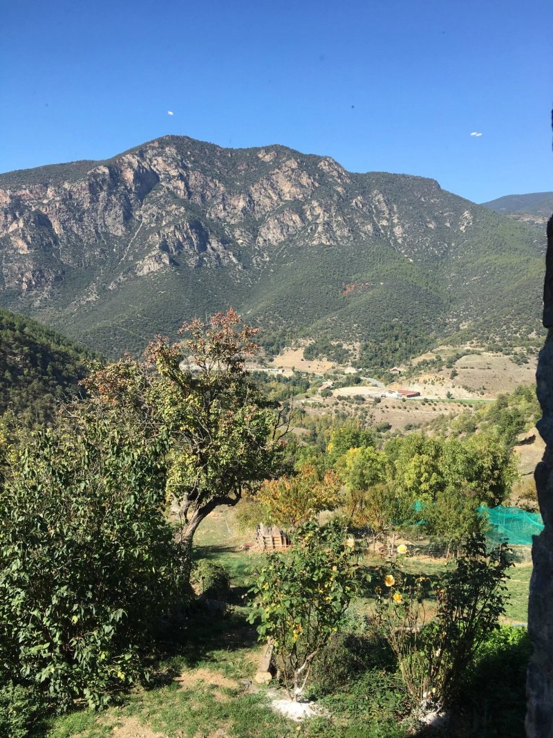 Font del Genil