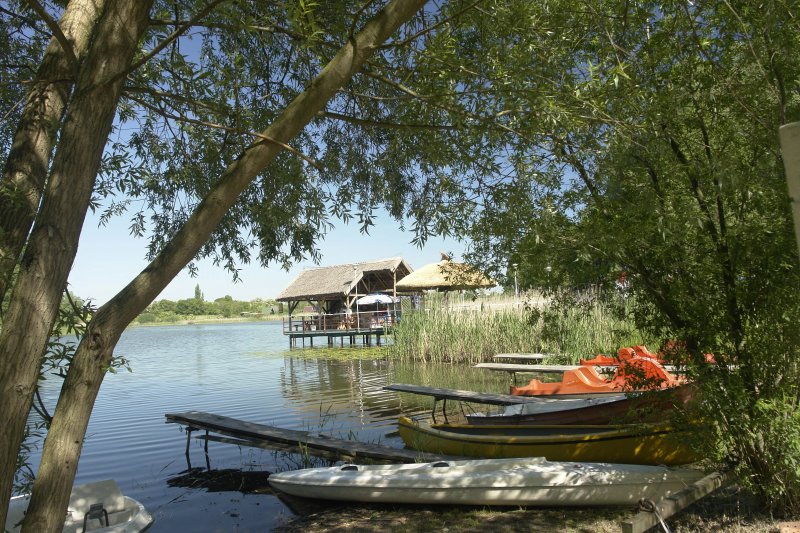 Ośrodek Wiktorowo