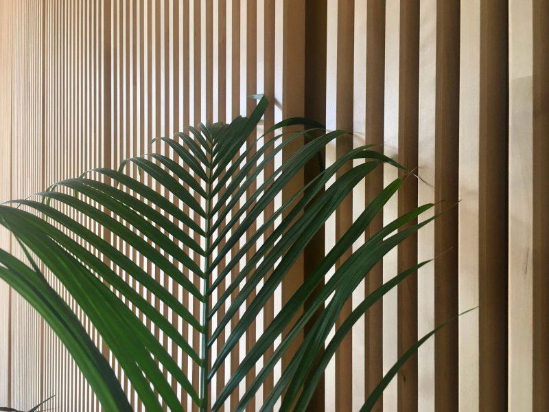 MD Modern - Jardines