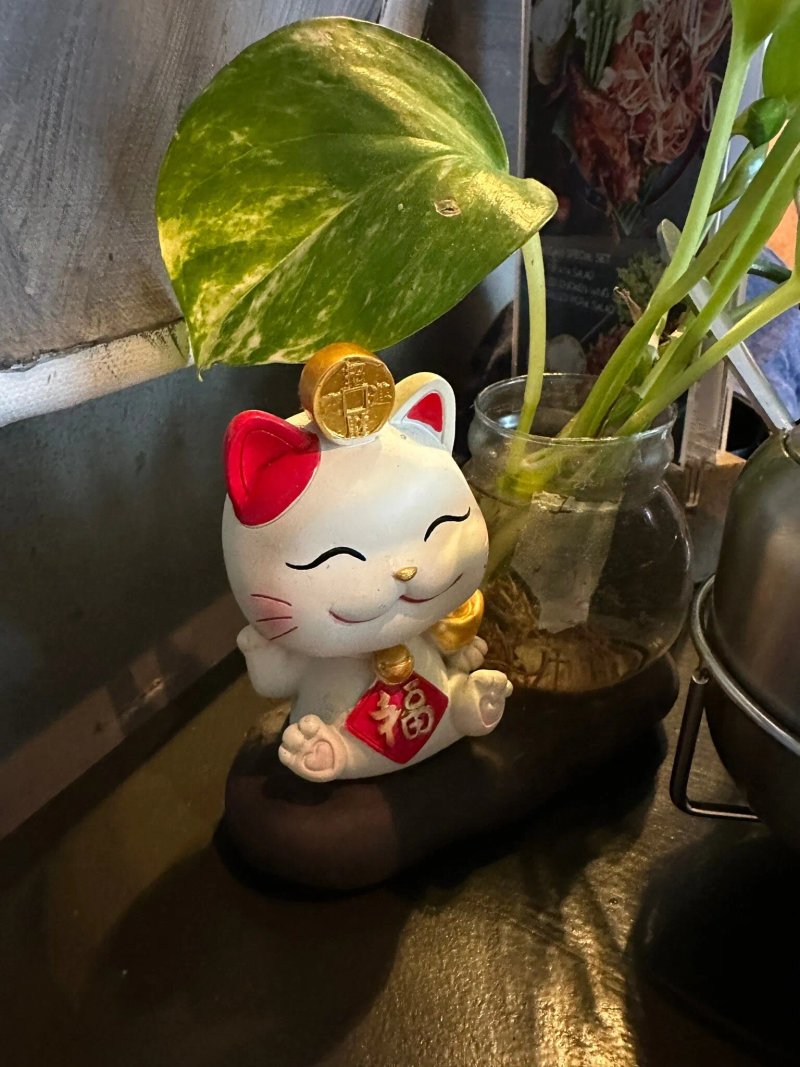Palaeng Cafe Asian Street Food