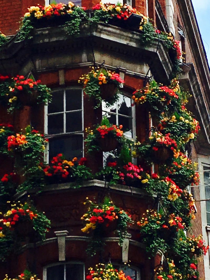 The Masons Arms