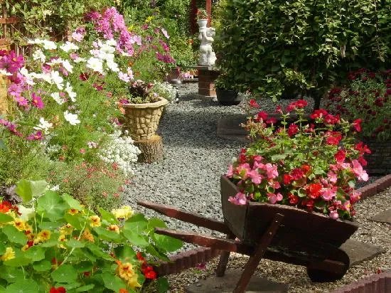 Plasnewydd Bed and Breakfast
