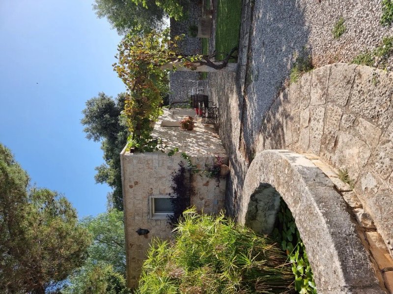 Agriturismo Antonelli Piangevino