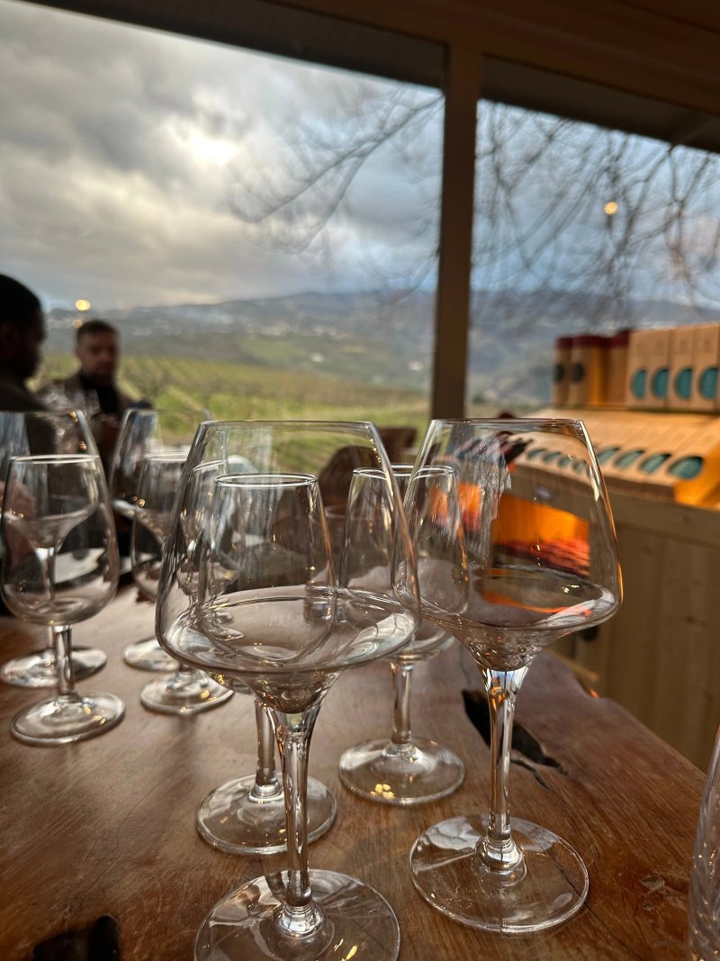The Wine House Hotel - Quinta da Pacheca