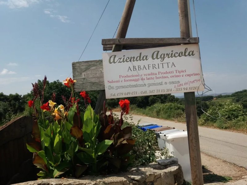 Azienda Agricola Abbafritta
