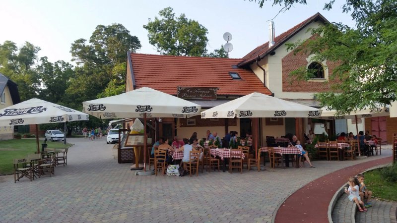 Restaurants & cafés