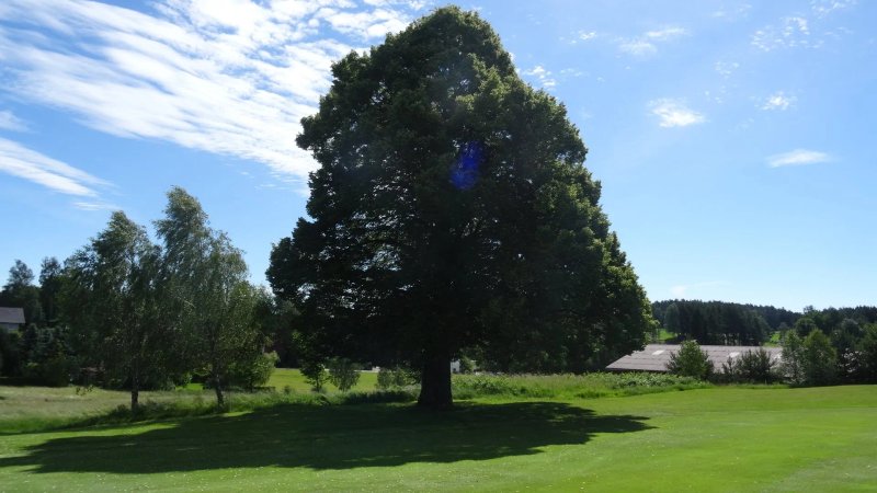 Golf Resort Haugschlag