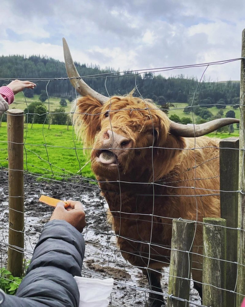 Trossachs Woollen Mill