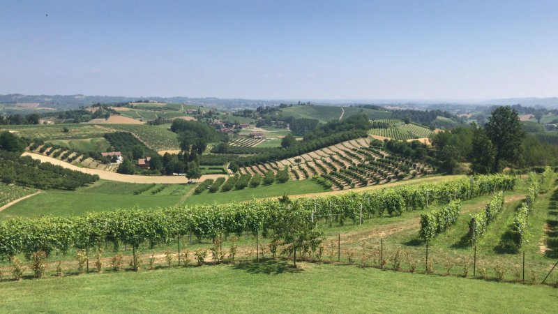 Agriturismo Ca' Colomba