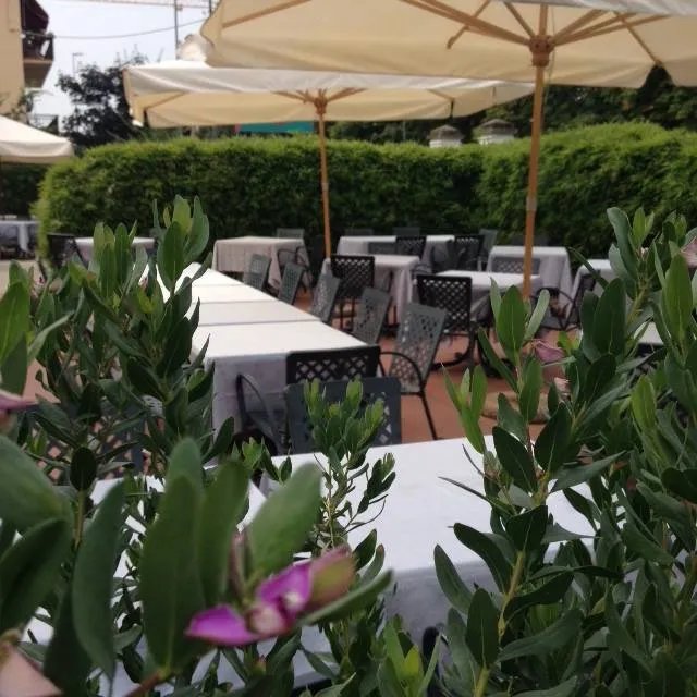 Fucina - Lunch & Dinner