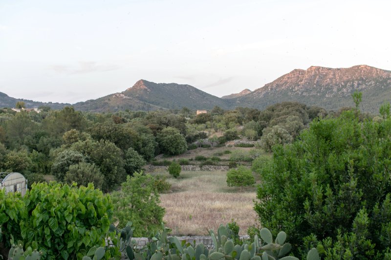 Restaurante Finca Es Serral