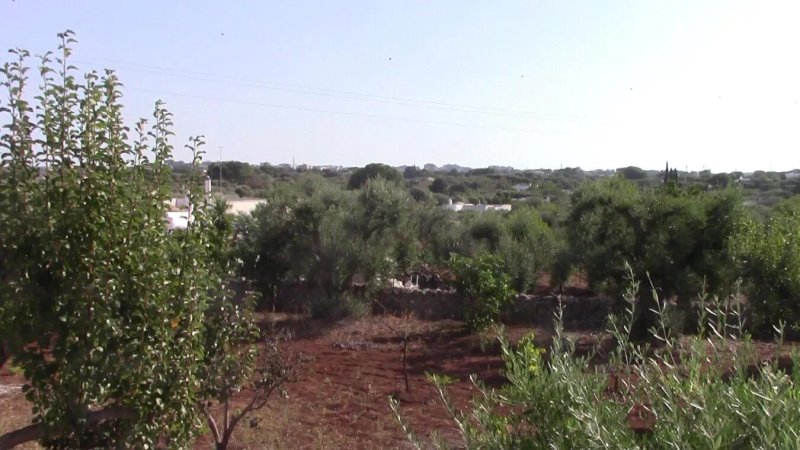 Il Melograno Bed & Breakfast