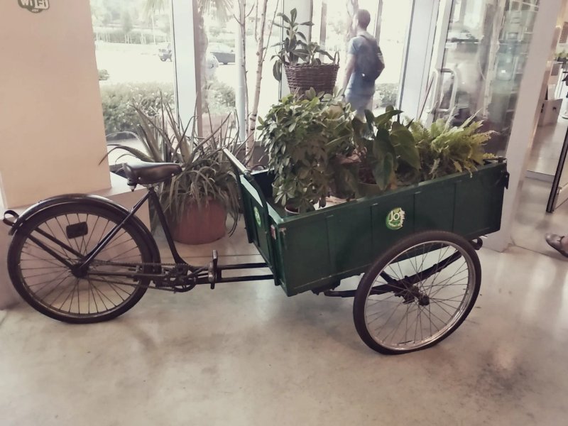 Joy Coffee & Green