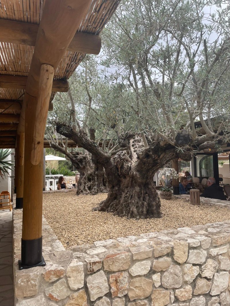 El Campo