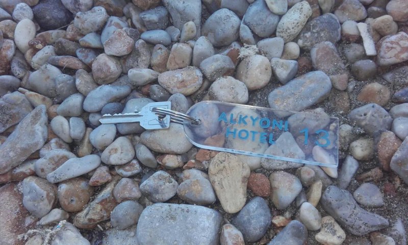Alkyoni