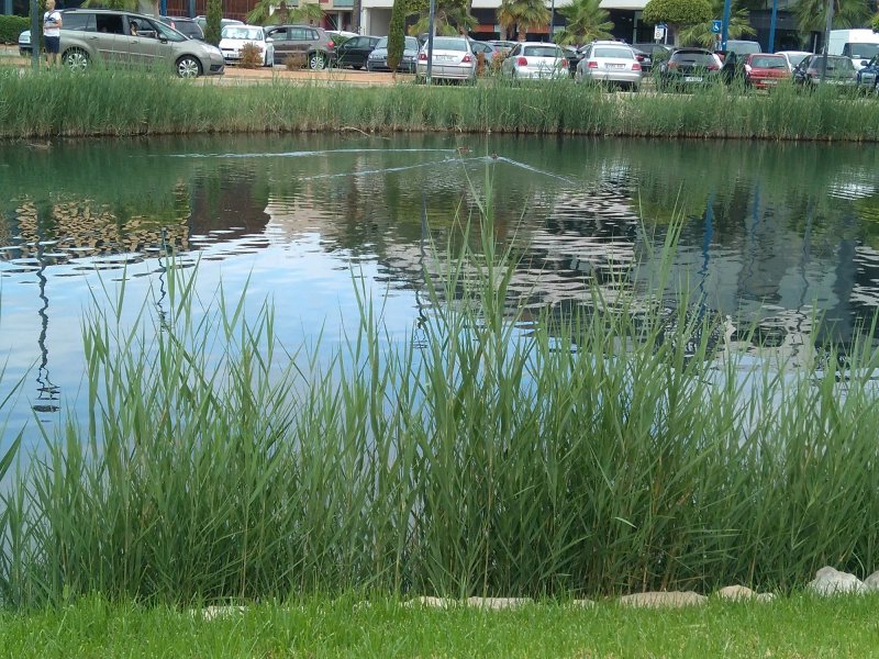Hotel Marina