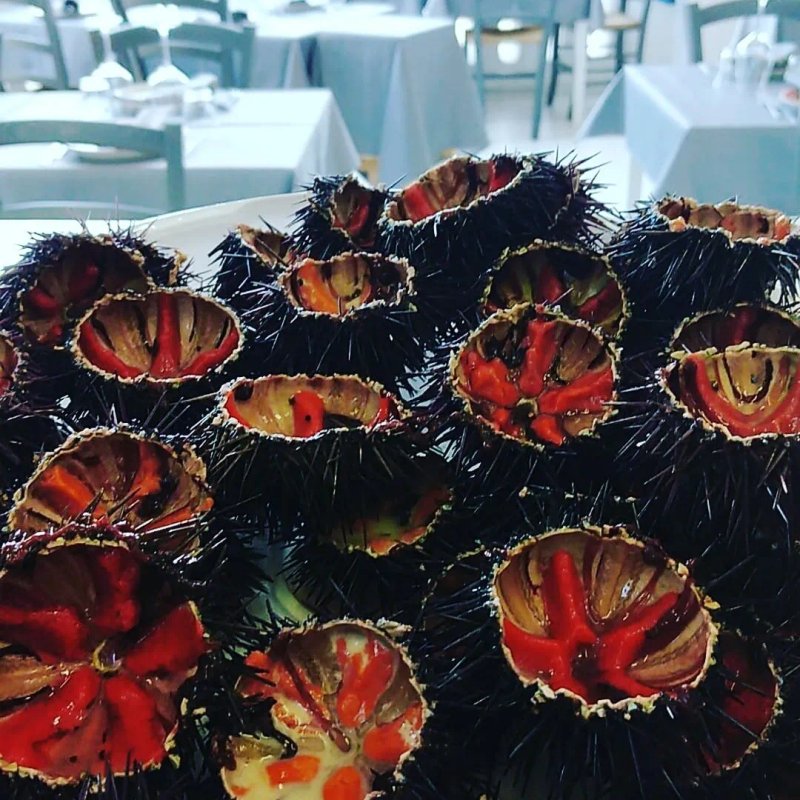 FronteMare - Ristorante Savelletri