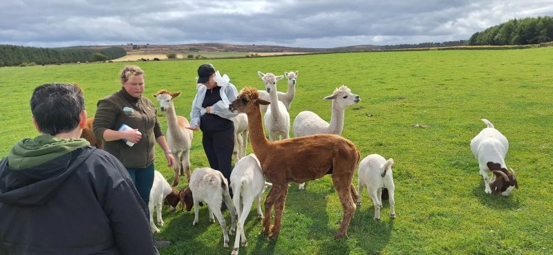 Newton Farm Holidays & Tours