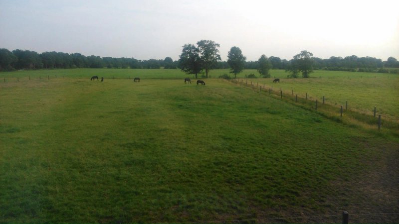 The Black Horse B&B & More