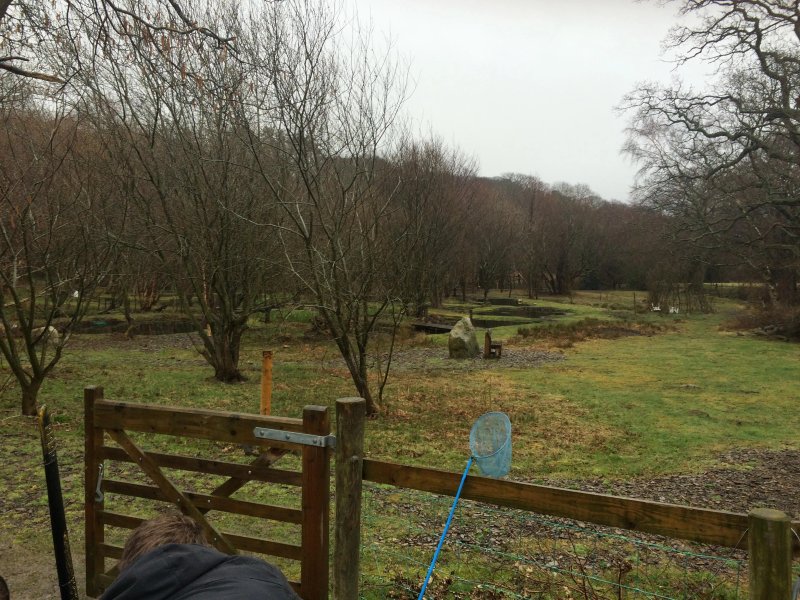 Cae Wennol Yurts