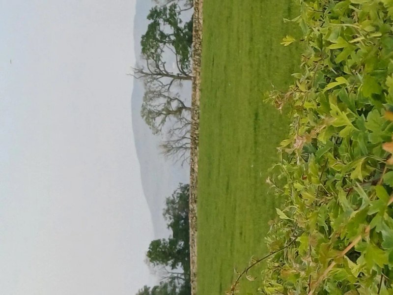 Drumroamin Farm Camping & Caravan Site