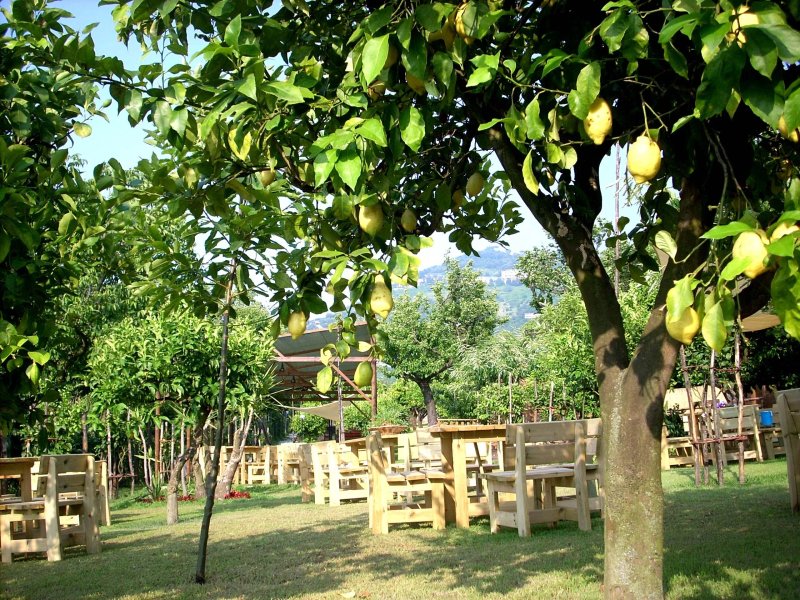 Il Pettirosso Country Garden
