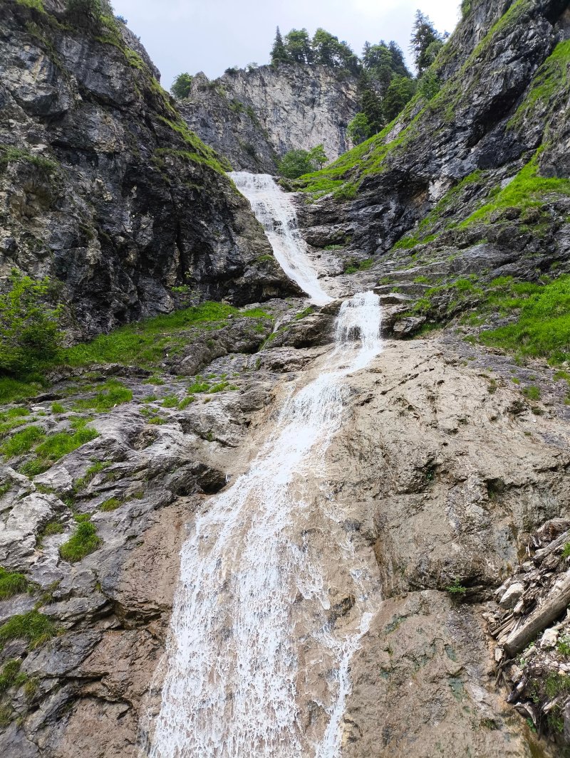Hotel Alpengasthof Loewen