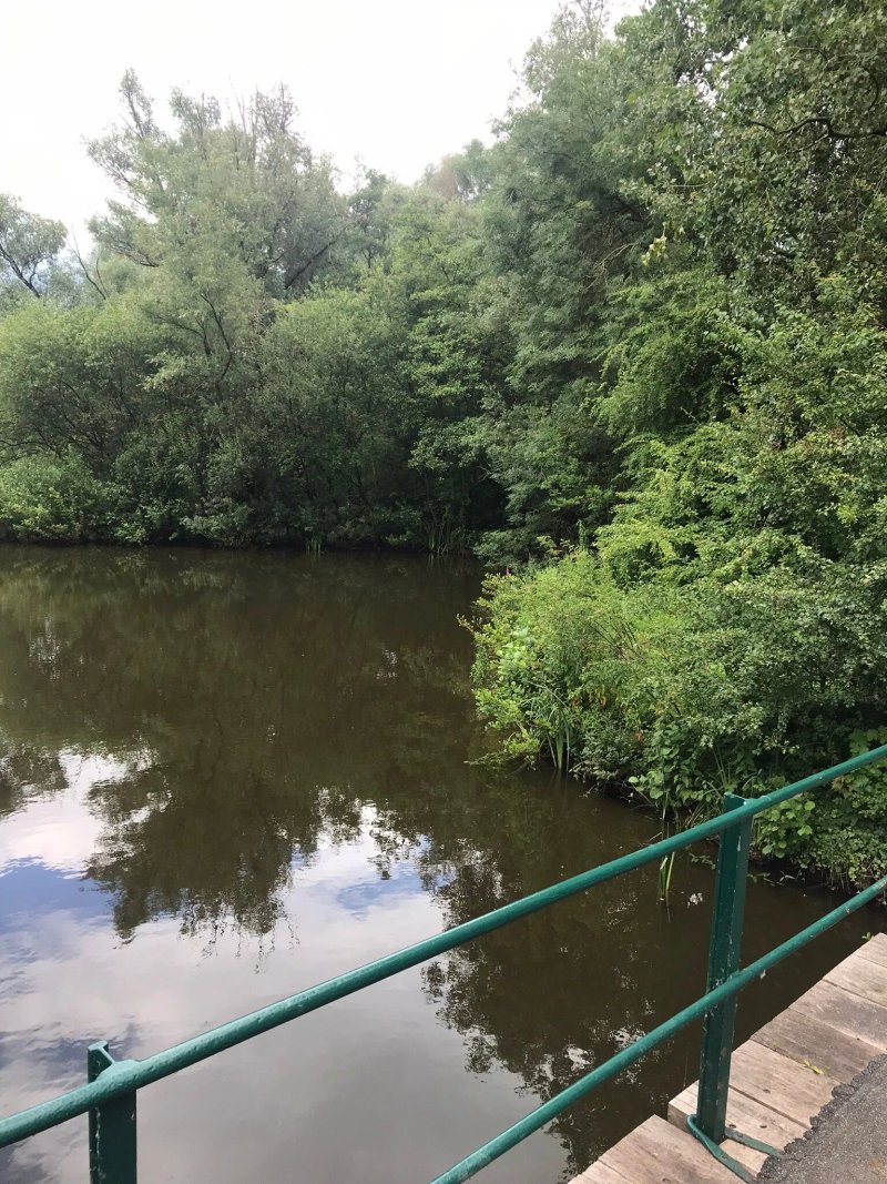 Natuurpark Bloeyendael