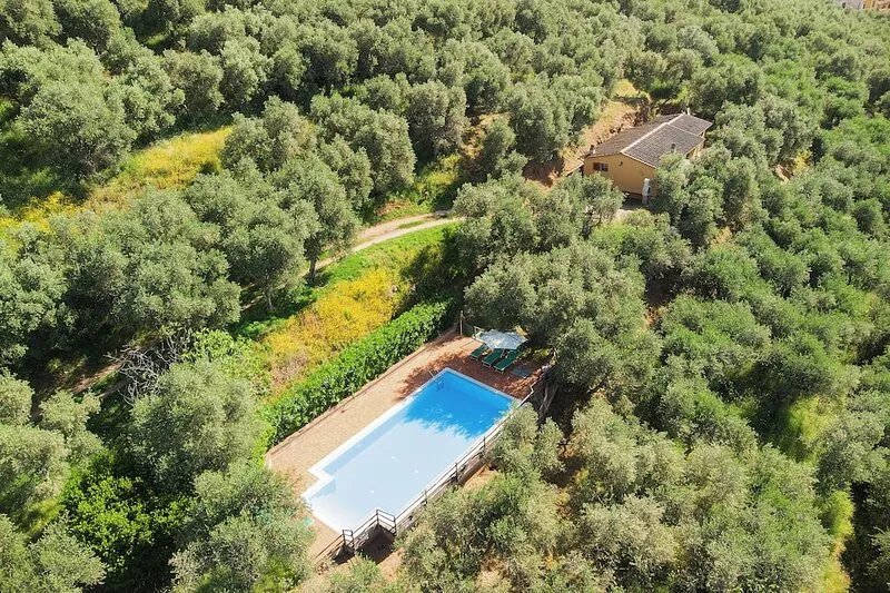 PRIVATE POOL - FARMHOUSE FATTORIA LA PIEVE - Villa LIMONE, 8 Km from Pisa