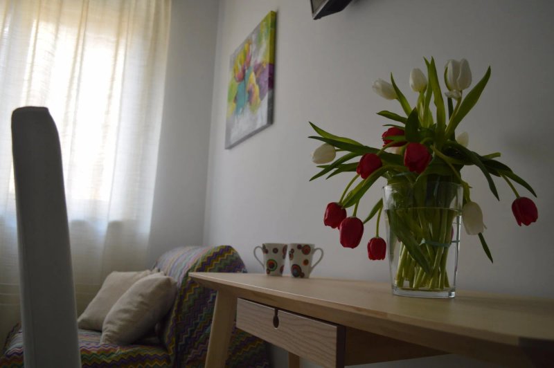 Una Mole di Stelle Bed&Breakfast