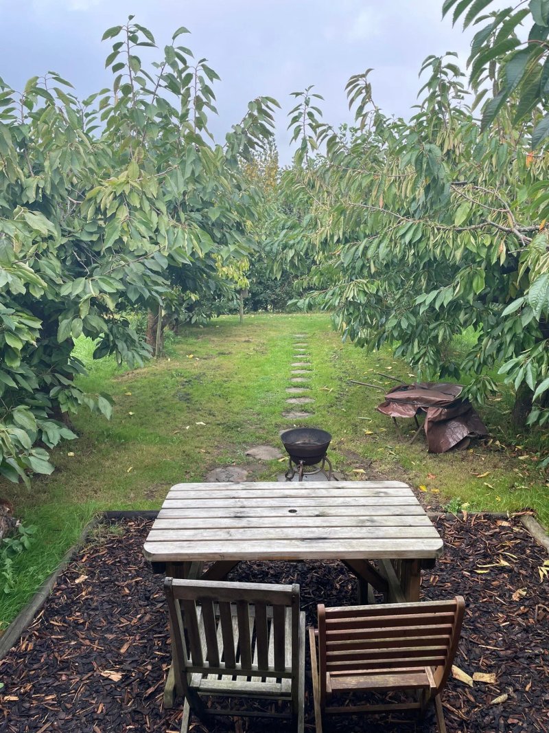 Orchard Pods